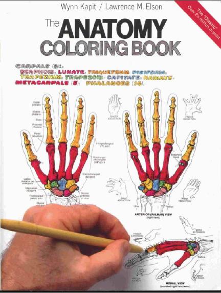 Atlas de Anatomia para colorir