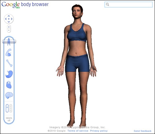 google earth corpo humano