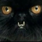 gato dentes de ouro