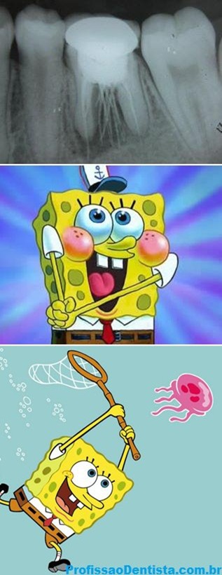 Bob Esponja