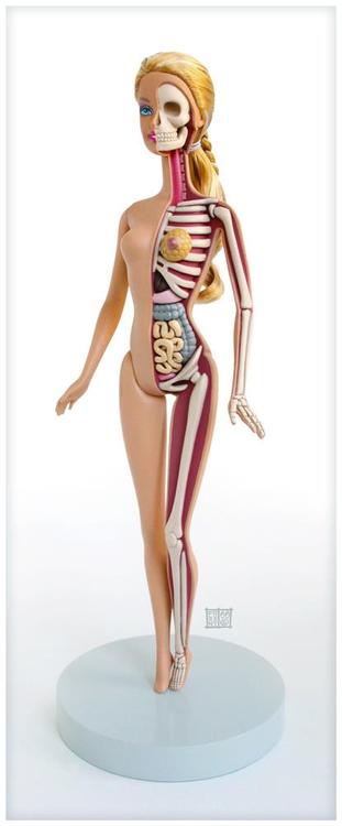 anatomia da barbie anatomia da barbie