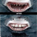 Colgate funciona?